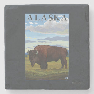 Bison Scene-Vintage Travel Poster Stenen Onderzetter