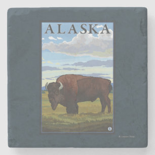 Bison Scene-Vintage Travel Poster Stenen Onderzetter