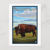 Bison Scene - West Yellowstone, Montana Briefkaart (Voorkant)