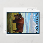 Bison Scene - Wyoming Briefkaart (Voorkant / Achterkant)