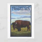 Bison Scene - Yellowstone National Park Briefkaart (Voorkant)