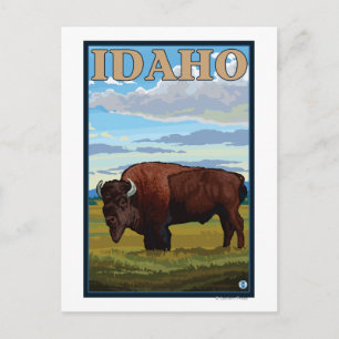 Bison SceneIdahoVintage Travel Poster Briefkaart
