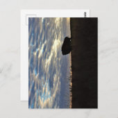 Bison Silhouette Briefkaart (Voorkant / Achterkant)