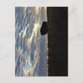 Bison Silhouette Briefkaart (Voorkant)