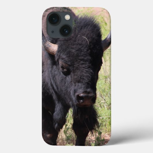 Bison sluit iPhone-hoesjes Case-Mate iPhone Case (Achterkant)