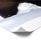 Bison Snow Poster (Hoek)