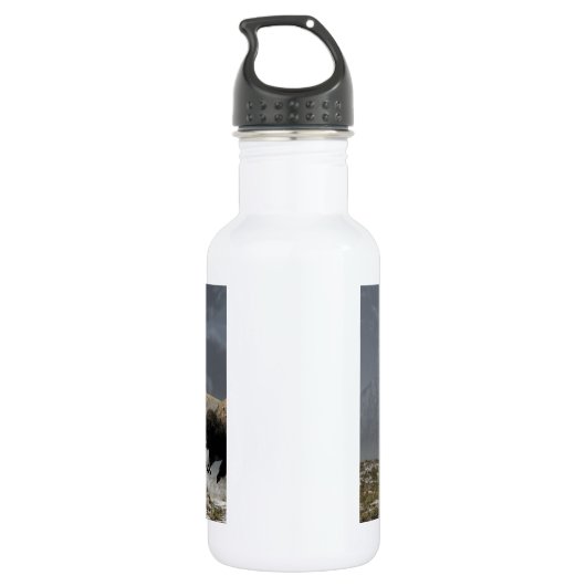 Bison Stampede Waterfles (Achterkant)