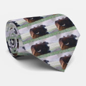 Bison Stropdas (Opgerold)