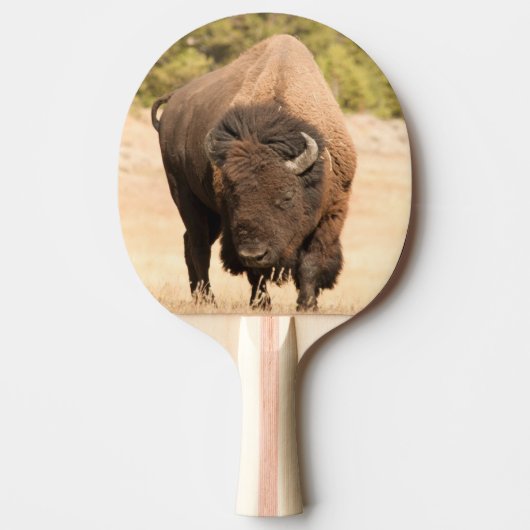 Bison Tafeltennisbatje (Voorkant)