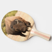Bison Tafeltennisbatje (Zijkant)