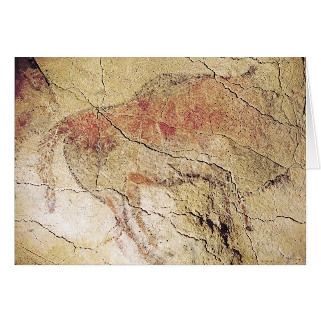 Bison uit de grotten bij Altamira, c.15000 BC (Voorkant Horizontaal)