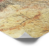 Bison, uit de grotten bij Altamira, c.15000 BC Poster (Hoek)