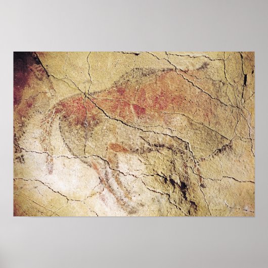 Bison uit de grotten bij Altamira, c.15000 BC Poster (Voorkant)