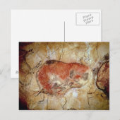 Bison van de Altamira Caves Briefkaart (Voorkant / Achterkant)