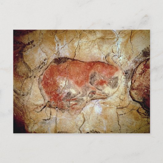 Bison van de Altamira Caves Briefkaart (Voorkant)