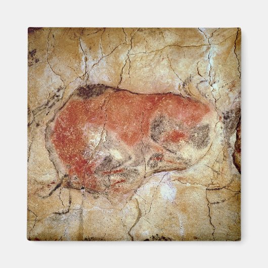 Bison van de Altamira Caves Magneet (Voorkant)