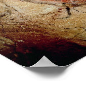 Bison van de Altamira Caves Poster (Hoek)