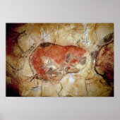Bison van de Altamira Caves Poster (Voorkant)