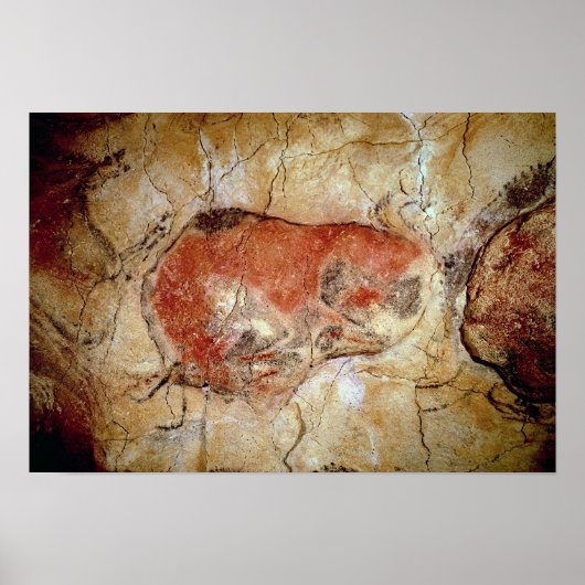 Bison van de Altamira Caves Poster (Voorkant)