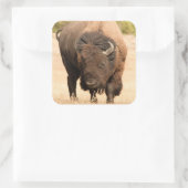 Bison Vierkante Sticker (Tas)