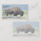 Bison Visitekaartje (Voorkant / Achterkant)