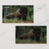 Bison Visitekaartje (Voorkant / Achterkant)