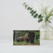 Bison Visitekaartje (Staand voorkant)