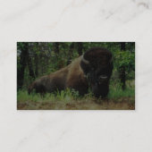Bison Visitekaartje (Achterkant)