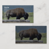 Bison Visitekaartje (Voorkant / Achterkant)