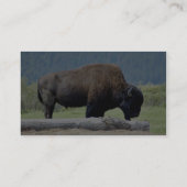 Bison Visitekaartje (Achterkant)
