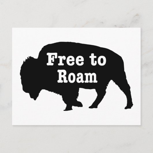 Bison vrij om te roamen briefkaart (Voorkant)