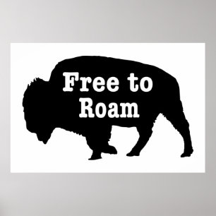 Bison vrij om te roamen poster