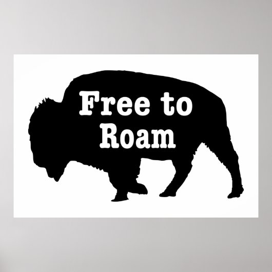 Bison vrij om te roamen poster (Voorkant)