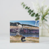 Bison Wyoming Yellowstone Wildlife Art Briefkaart (Staand voorkant)