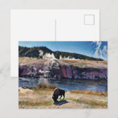 Bison Wyoming Yellowstone Wildlife Art Briefkaart (Voorkant / Achterkant)