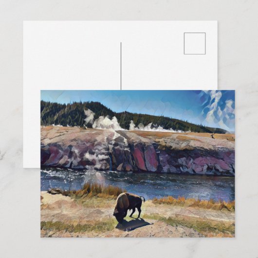 Bison Wyoming Yellowstone Wildlife Art Briefkaart (Voorkant / Achterkant)