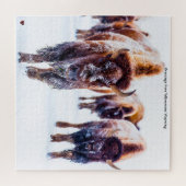 Bison Yellowstone Wyoming Jigzaag Puzzle Legpuzzel (Horizontaal)