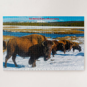 Bison Yellowstone Wyoming. Jigzaag Puzzle Legpuzzel