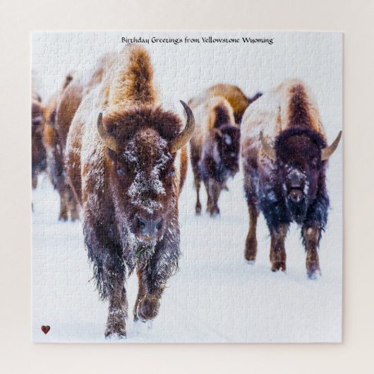 Bison Yellowstone Wyoming Jigzaag Puzzle Legpuzzel (Verticaal)