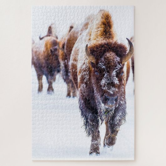 Bison Yellowstone Wyoming. Jigzaag Puzzle Legpuzzel (Verticaal)