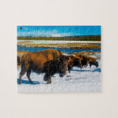 Bison Yellowstone Wyoming Legpuzzel (Horizontaal)