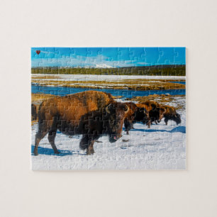 Bison Yellowstone Wyoming Legpuzzel