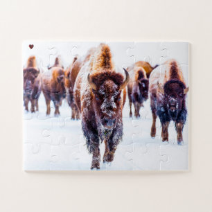 Bison Yellowstone Wyoming Legpuzzel