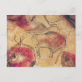 Bisonen uit de grotten van Altamira, c.15000 BC Briefkaart (Voorkant)
