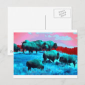 Bisons Briefkaart (Voorkant / Achterkant)