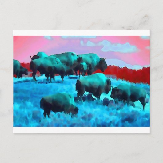 Bisons Briefkaart (Voorkant)