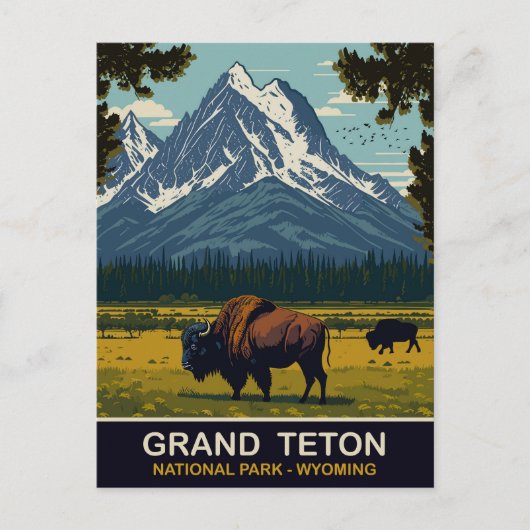 Bisons, Grand Teton Natural Park, Wyoming, Reizen Briefkaart (Voorkant)