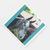 Bisschop Mule Days Parade van 2018 Servet (Hoek)