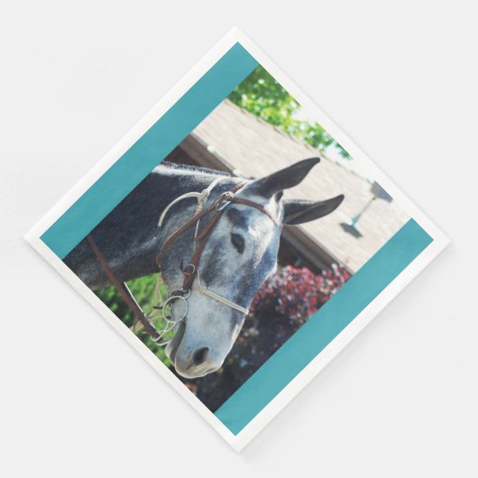 Bisschop Mule Days Parade van 2018 Servet (Hoek)