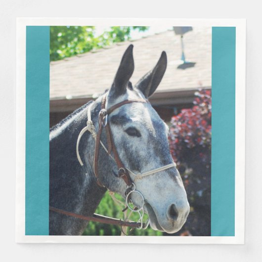 Bisschop Mule Days Parade van 2018 Servet (Voorkant)